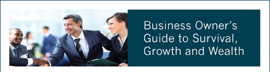 Business Owner’s Guide to Survival, Growth and Wealth