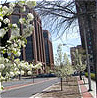 Photo of White Plains