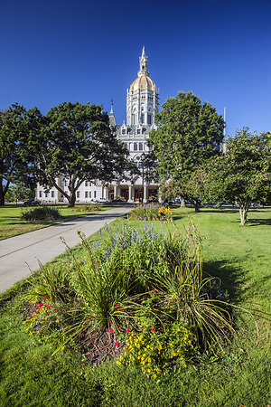 CT General Assembly with Flower Bush
