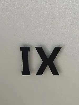 The Title IX Coordinator as Gatekeeper